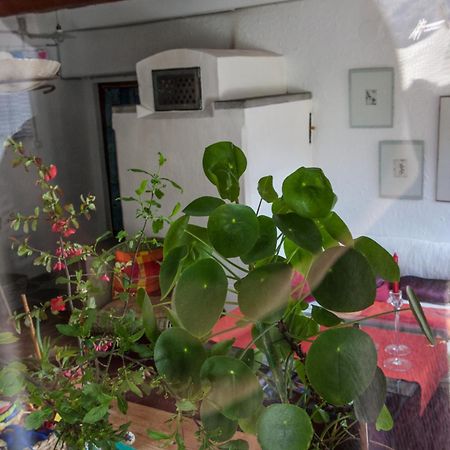 Bed&Breakfast da Toldo Russo Exterior foto