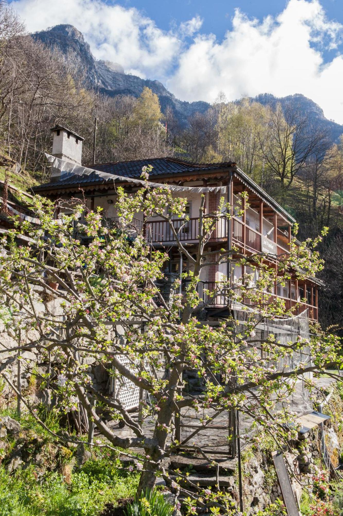 Bed&Breakfast da Toldo Russo Exterior foto